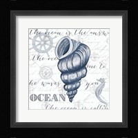 Indigo Shell III Framed Print