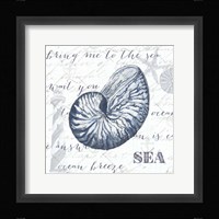 Indigo Shell II Framed Print