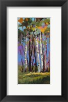 Birch Trees Fine Art Print