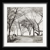Virginia Park Walk Fine Art Print