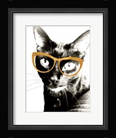 Cool Kat Fine Art Print