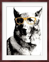Cool Dog Fine Art Print