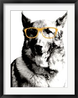 Cool Dog Fine Art Print