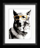 Cool Dog Fine Art Print