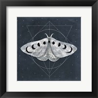 Midnight Moth II Fine Art Print