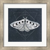 Midnight Moth II Fine Art Print