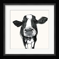 Cow Contour III Framed Print