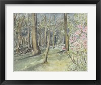 Virginia Woods I Fine Art Print