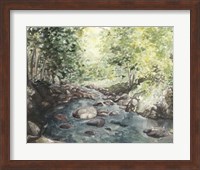 Virginia Woods IV Fine Art Print