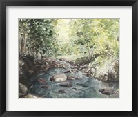Virginia Woods IV Fine Art Print