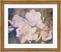 Blush Gardenia Beauty I Fine Art Print