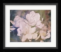 Blush Gardenia Beauty I Fine Art Print