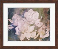 Blush Gardenia Beauty I Fine Art Print