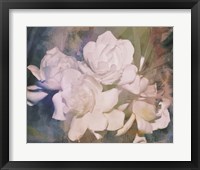 Blush Gardenia Beauty I Framed Print
