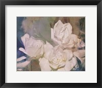 Blush Gardenia Beauty II Fine Art Print