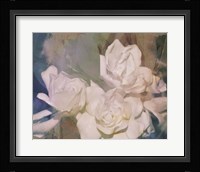 Blush Gardenia Beauty II Framed Print