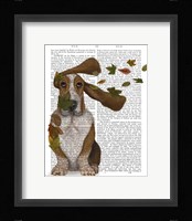 Basset Hound Windswept and Interesting Fine Art Print