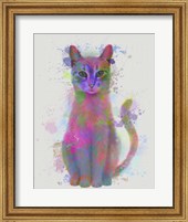 Cat Rainbow Splash 4 Fine Art Print