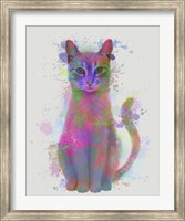 Cat Rainbow Splash 4 Fine Art Print