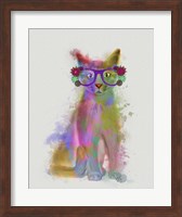 Cat Rainbow Splash 5 Fine Art Print