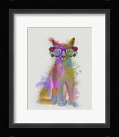 Cat Rainbow Splash 5 Fine Art Print