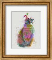 Cat Rainbow Splash 11 Fine Art Print