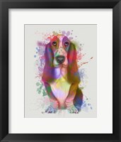 Basset Hound Rainbow Splash Fine Art Print