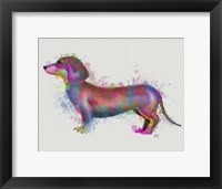 Dachshund Rainbow Splash 1 Fine Art Print