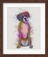 Boxer 1 Full Rainbow Splash Fine Art Print