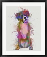 Boxer 1 Full Rainbow Splash Fine Art Print