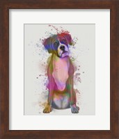 Boxer 1 Full Rainbow Splash Fine Art Print