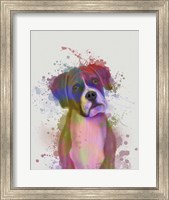 Boxer 1 Portrait Rainbow Splash Fine Art Print