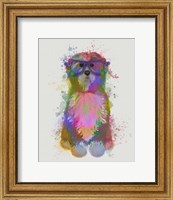 Tibetan Terrier Rainbow Splash Fine Art Print