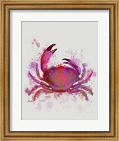 Crab 1 Pink Rainbow Splash Fine Art Print