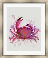 Crab 1 Pink Rainbow Splash Fine Art Print