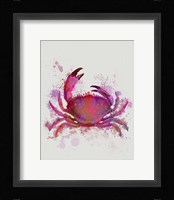 Crab 1 Pink Rainbow Splash Fine Art Print