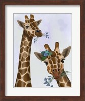 Chewing Giraffe Duo Fine Art Print