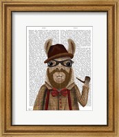 Bearded Llama Fine Art Print