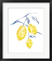 Watercolor Lemons I Fine Art Print