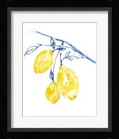 Watercolor Lemons II Framed Print