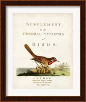 General Synopsis of Birds Fine Art Print