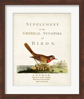 General Synopsis of Birds Fine Art Print