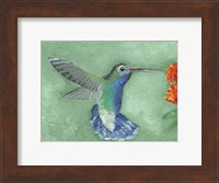 Fresco Hummingbird I Fine Art Print