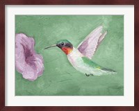 Fresco Hummingbird II Fine Art Print