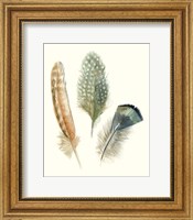 Watercolor Feathers I Fine Art Print