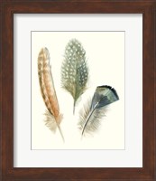 Watercolor Feathers I Fine Art Print