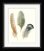 Watercolor Feathers I Framed Print