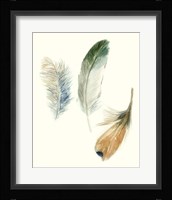 Watercolor Feathers II Framed Print