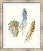 Watercolor Feathers III Fine Art Print