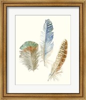 Watercolor Feathers III Fine Art Print